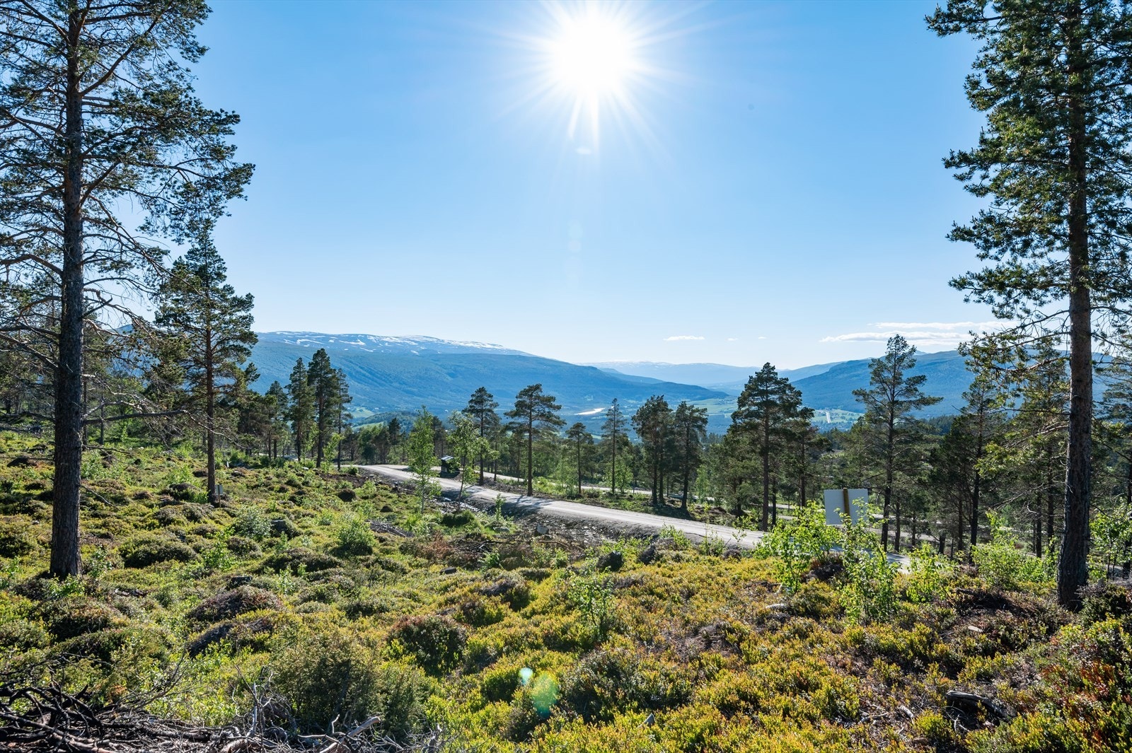 Flott utgangspunkt for turer hele året. Galleribilde