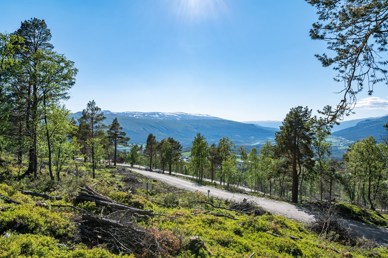 Lett adkomst inn til de enkelte tomtene. Galleribilde
