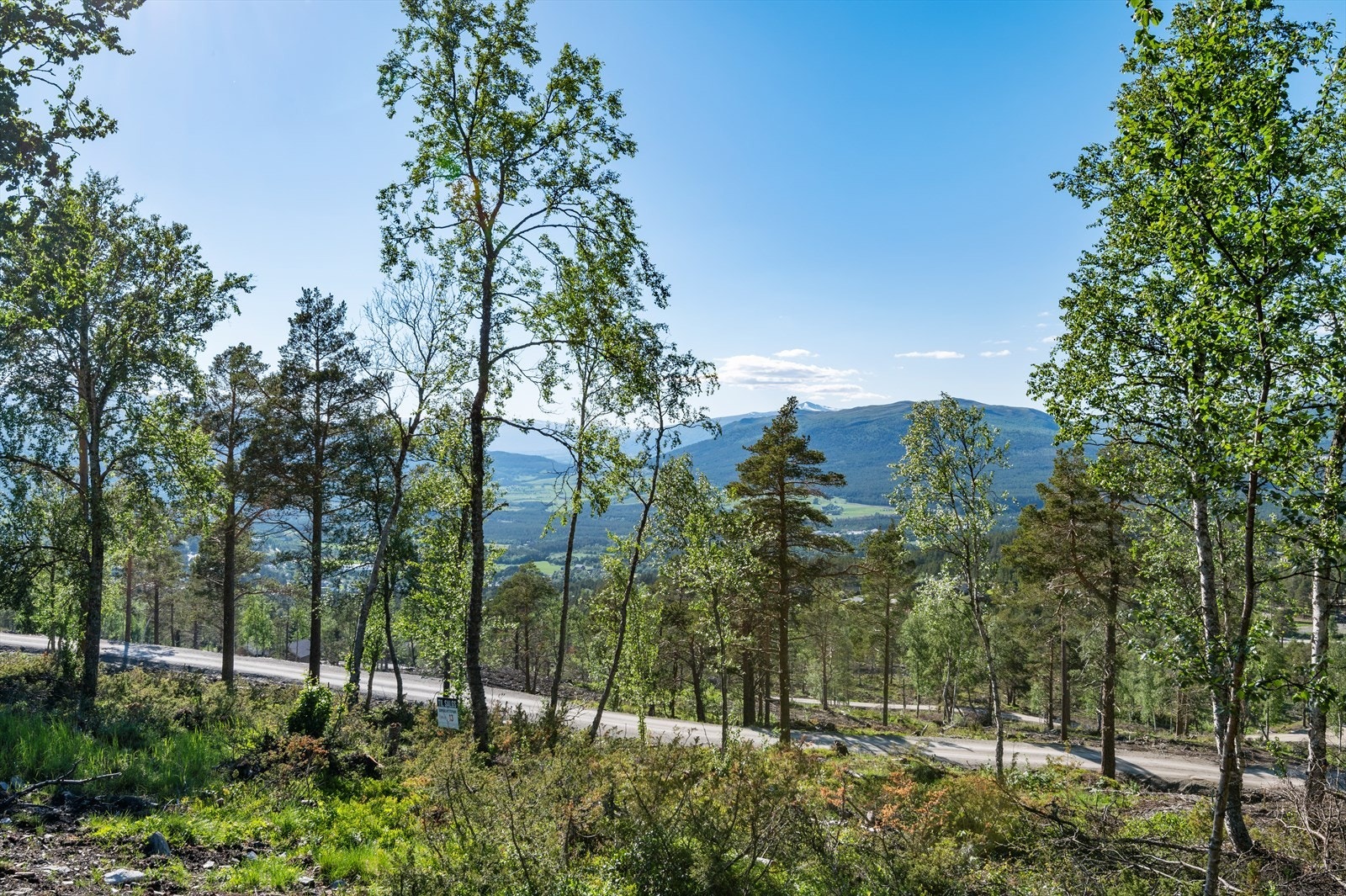Fra tomtefeltet Galleribilde
