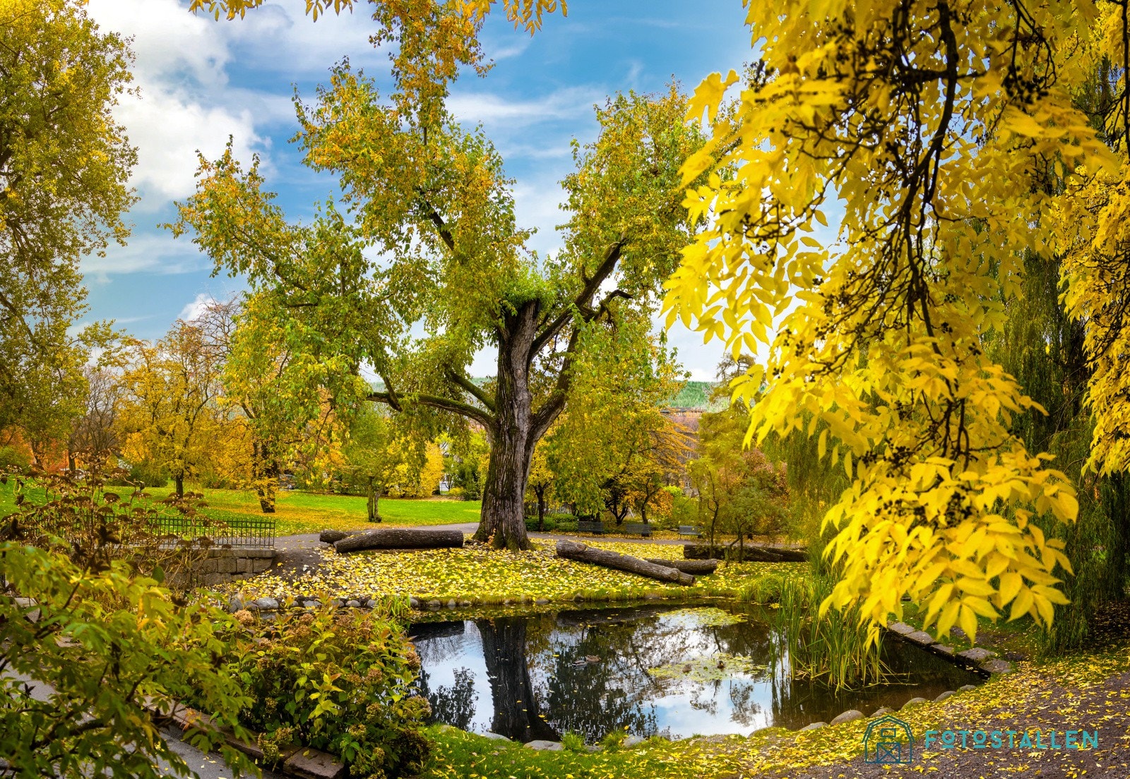 Botanisk hage er en levende samling av over 5,500 planteslag fra hele verden. Hagen er inndelt i flere tematiske avdelinger inkludert to veksthus. Galleribilde