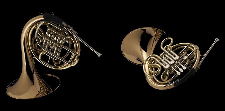 Wessex Bb F Double French Horn FH601 P FINN torget