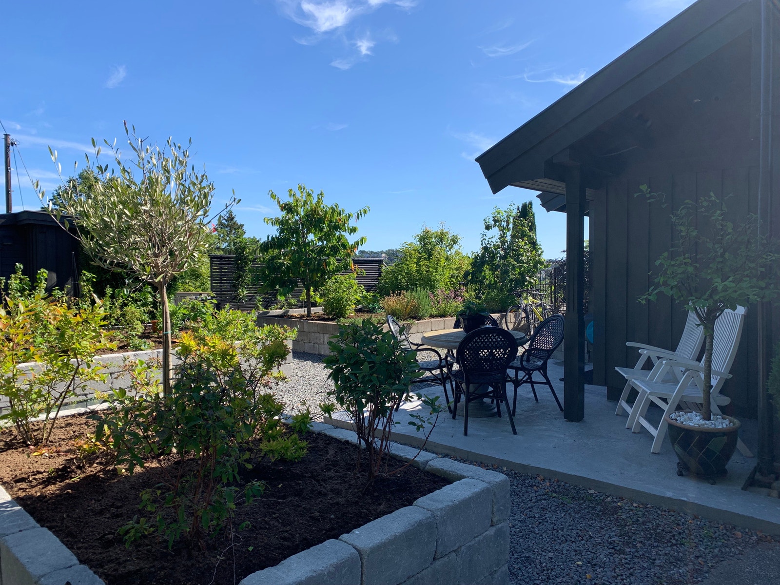 Inngangsparti fra frukthagen. Galleribilde