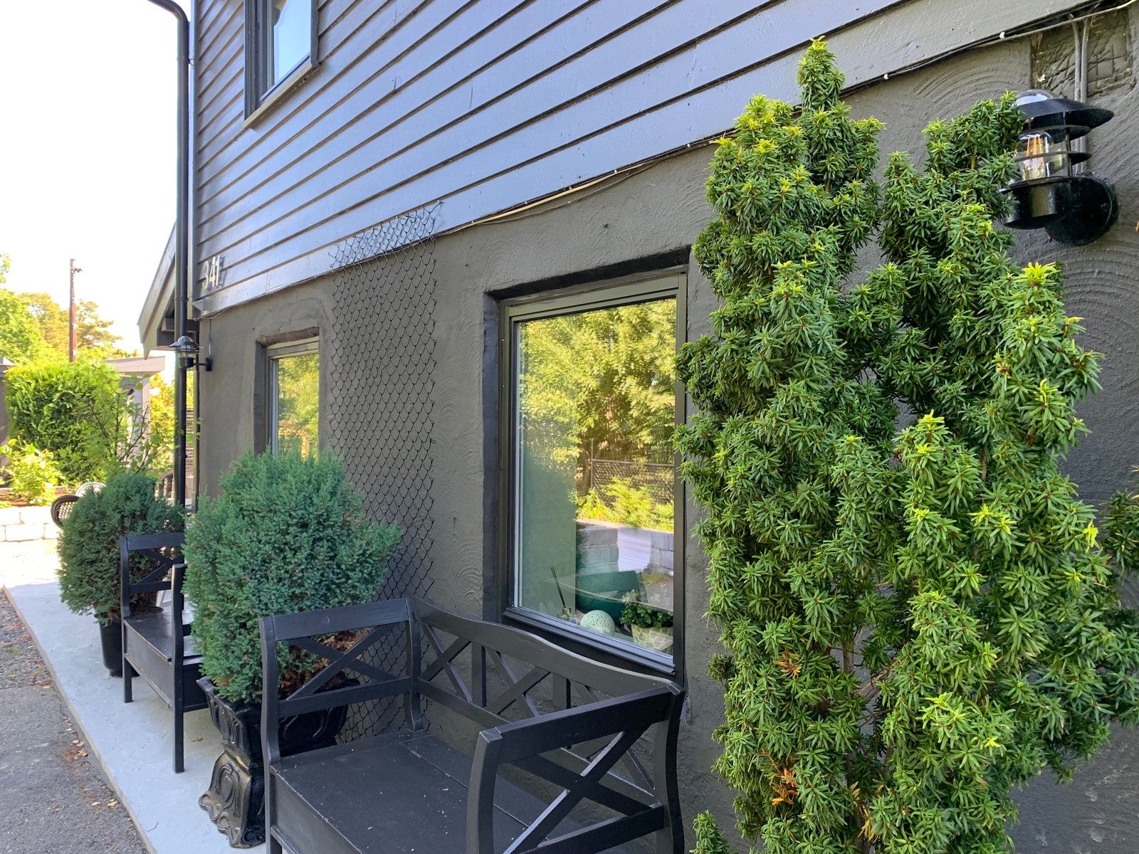 Utenfor leilighetens stuevinduer. Galleribilde