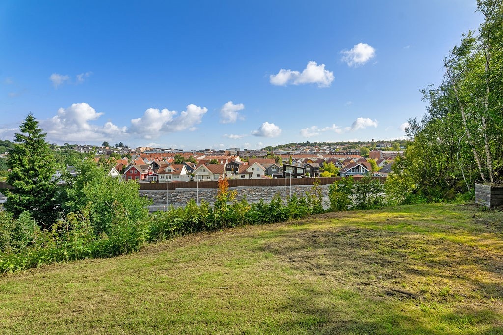 Utsikten fra hagen Galleribilde