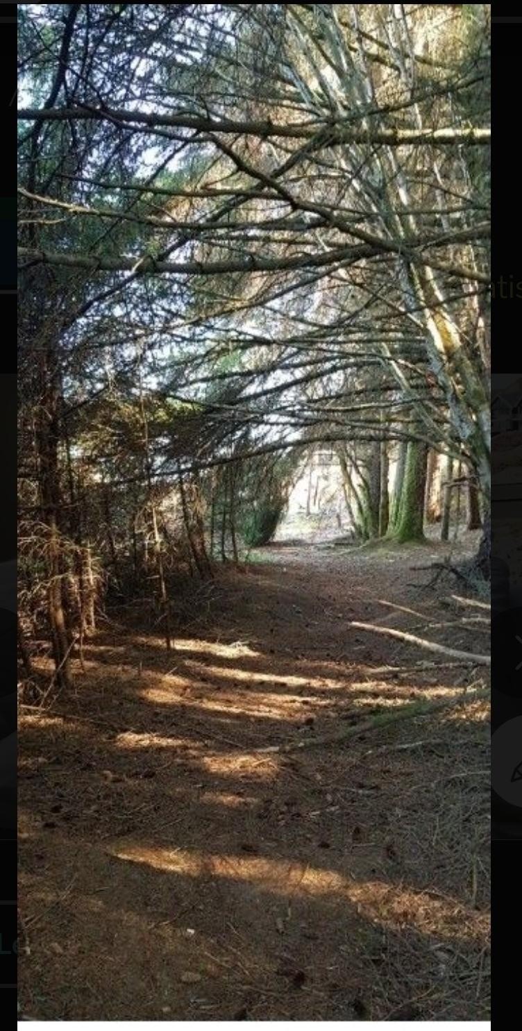 Flott tirterreng i nærheten Galleribilde