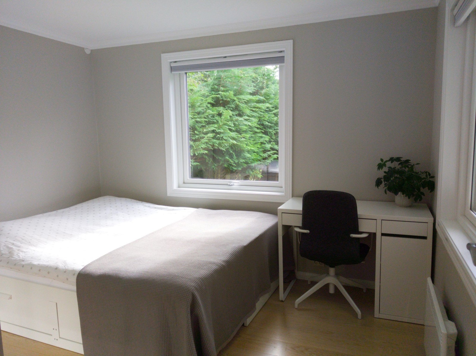 Soverom med uttrekkbar seng og skrivebordsmøbler Galleribilde