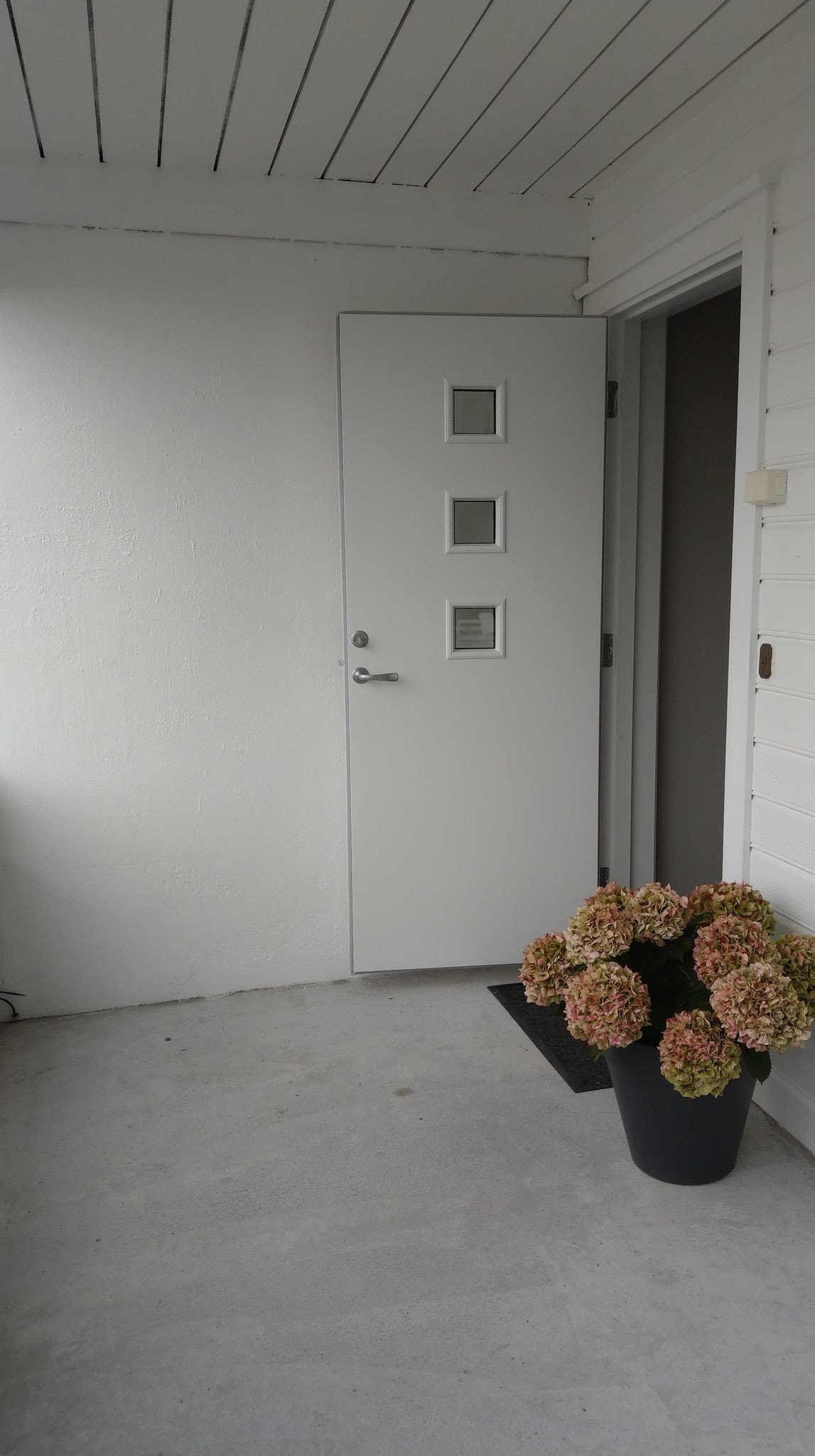 Egen inngangsdør Galleribilde