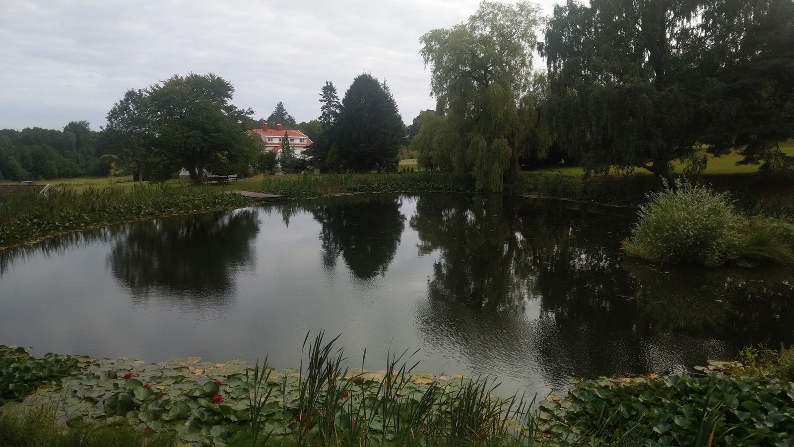 2,0 km til lysløype og turområde på Dømmesmoen Galleribilde