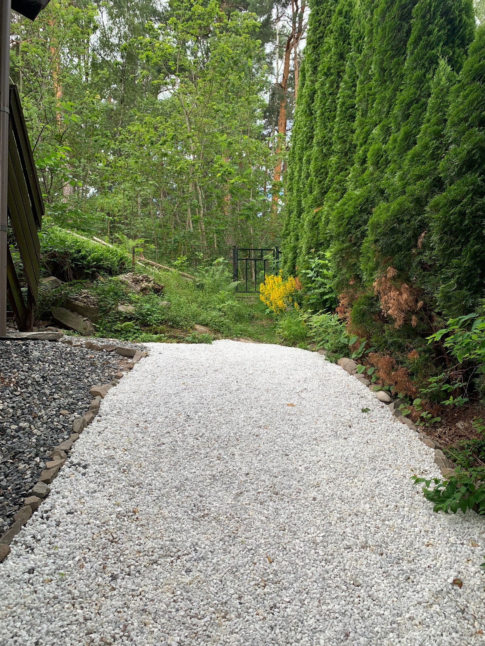 Port til herlige Kongeskogen med flotte tur og bademuligheter Galleribilde