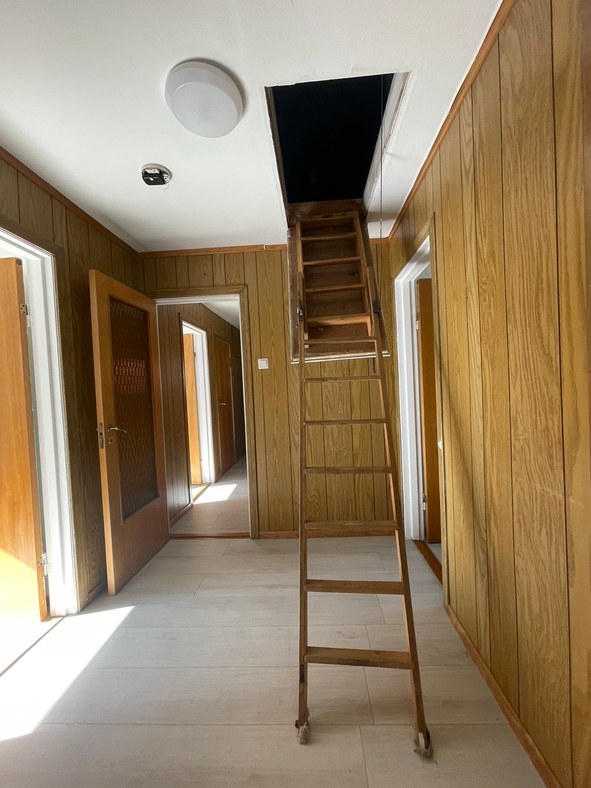 Stige for loftet Galleribilde