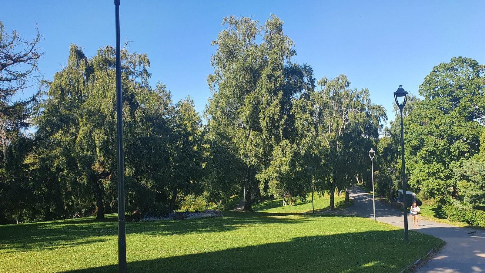 Parken rett over veien Galleribilde