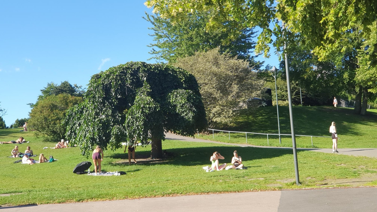 Stort friluftsområde i parken Galleribilde