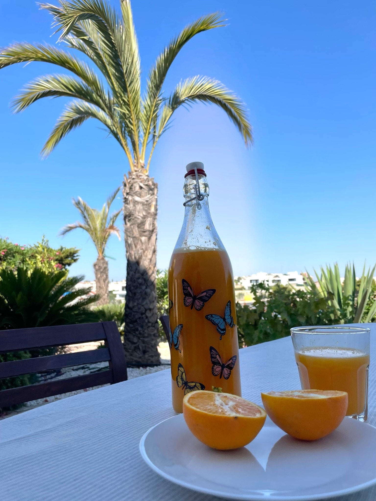 Ferskpresset appelsinjuice til frokost er aldri feil! Galleribilde