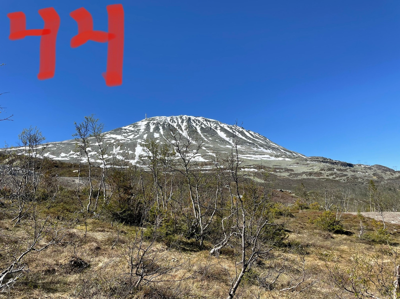 Utsikten fra tomt 44
(Myrestaulvegen 104) Galleribilde