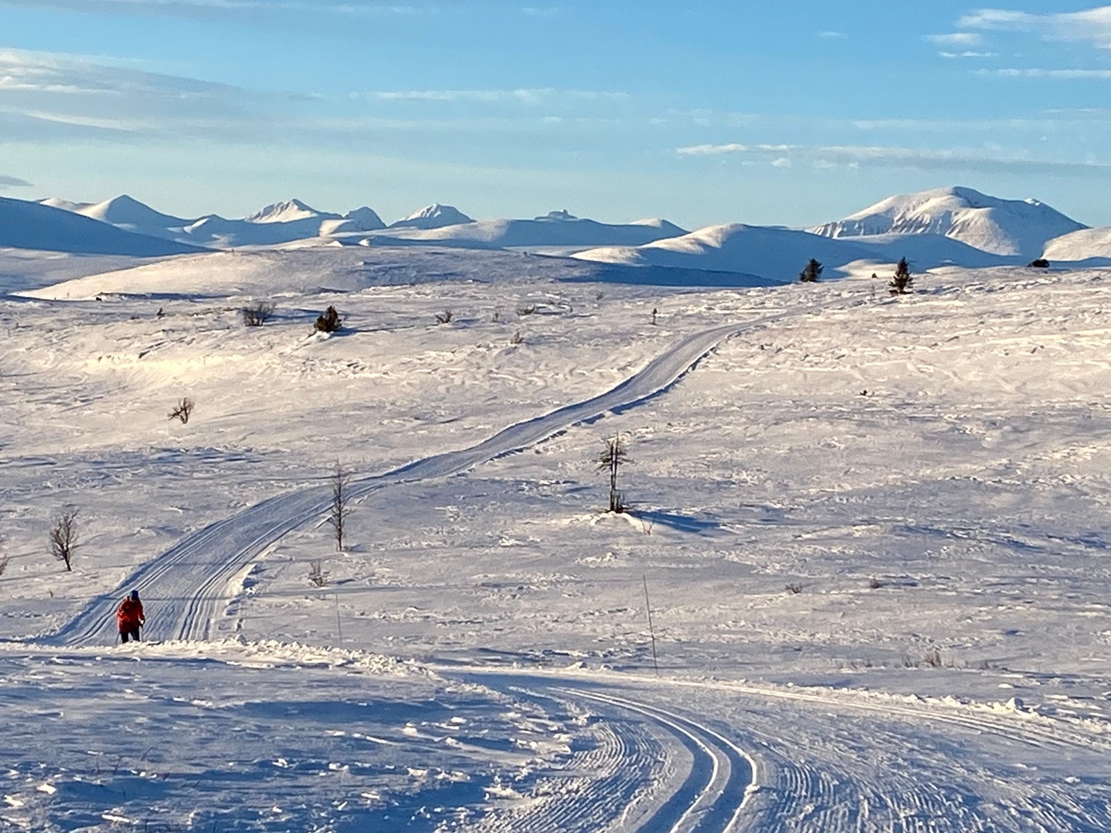 Venabygdsfjellet Galleribilde