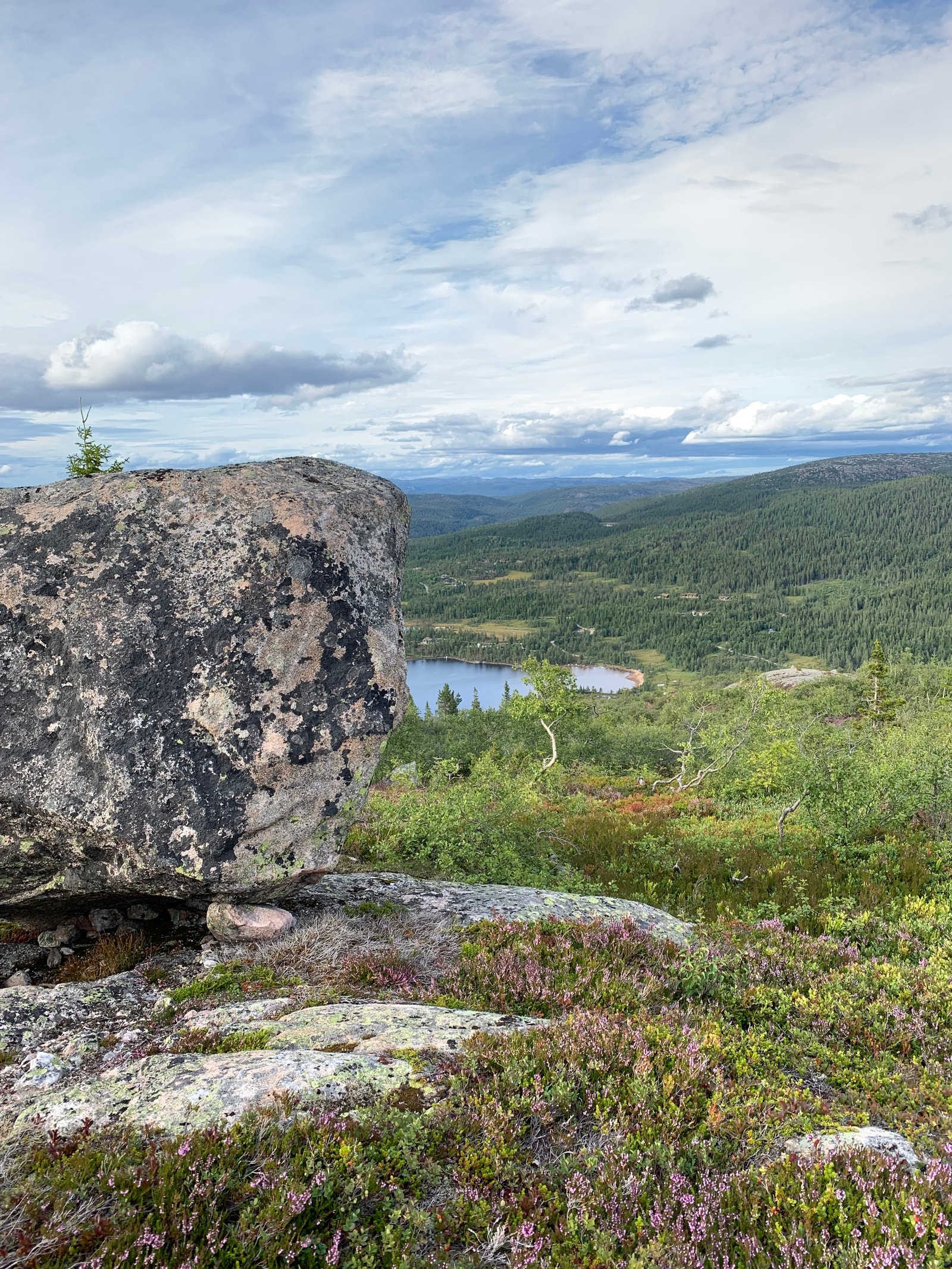 Utsikten mot hyttefeltet på veg mot Rjupeto Galleribilde