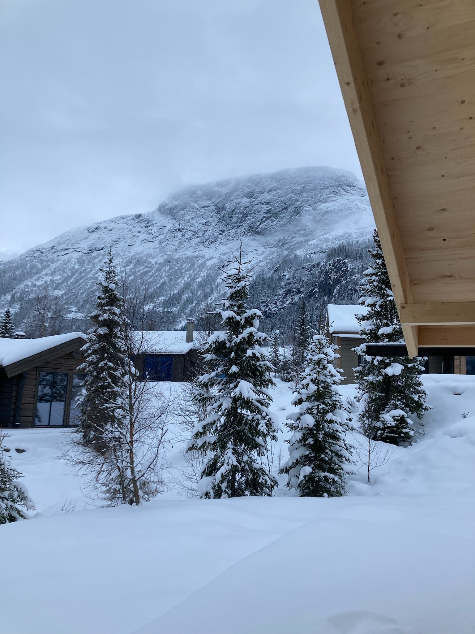 Totten, sett fra terrassen Galleribilde