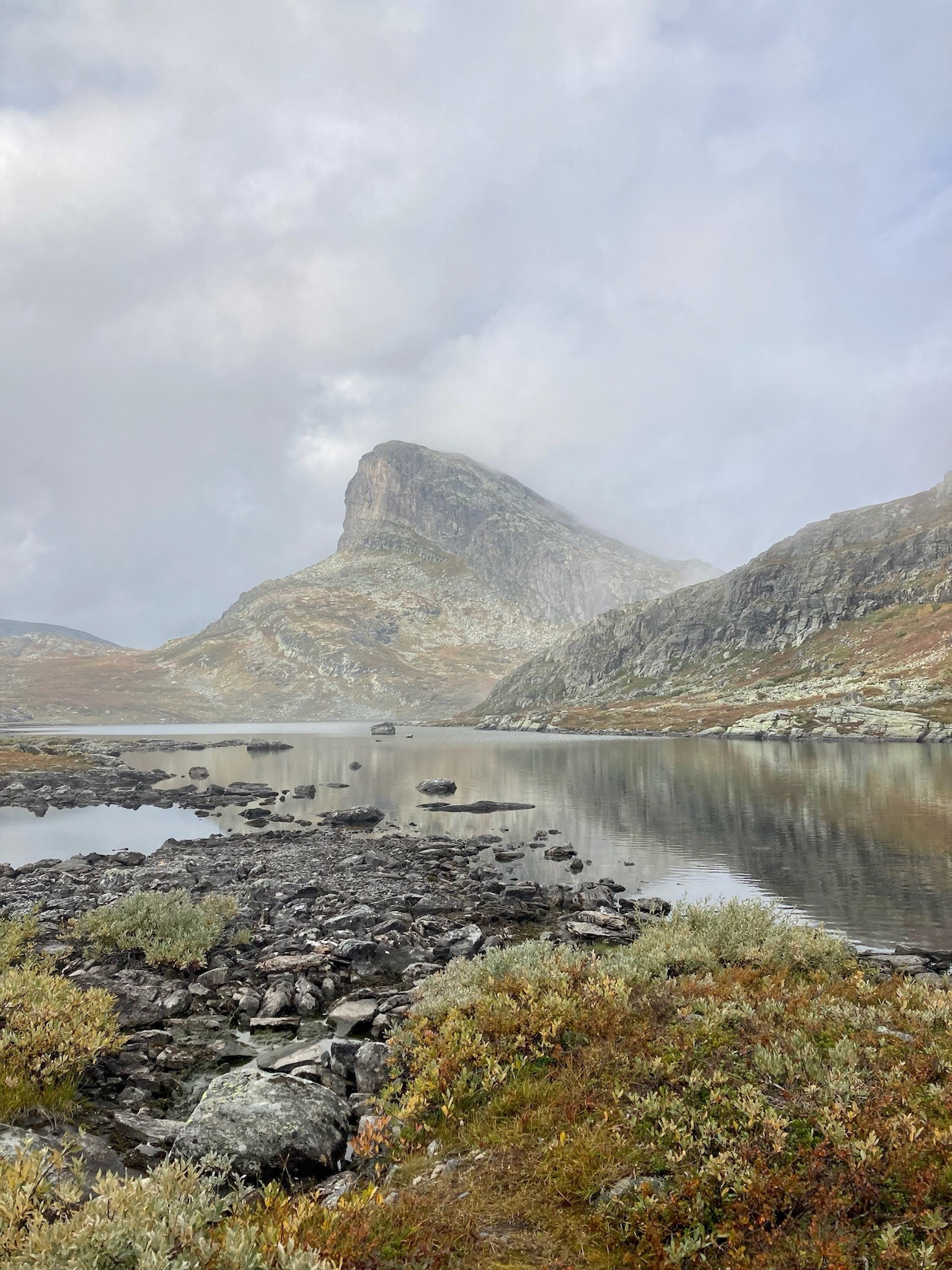 Storehødn på høsten Galleribilde