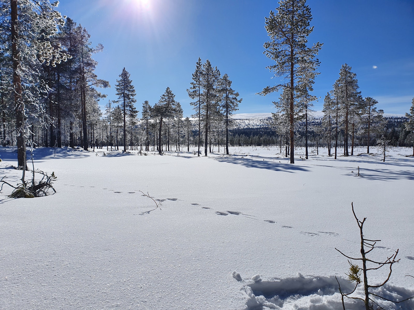 På trugetur i nærområdet Galleribilde