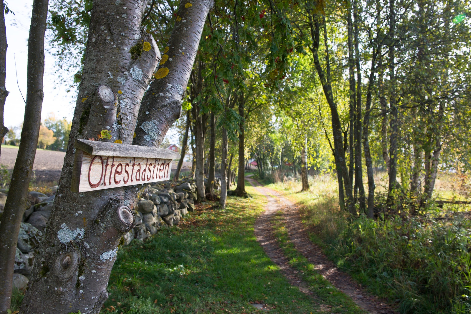 Ottestadstien ligger like i tilknytning til boligprosjektet Galleribilde
