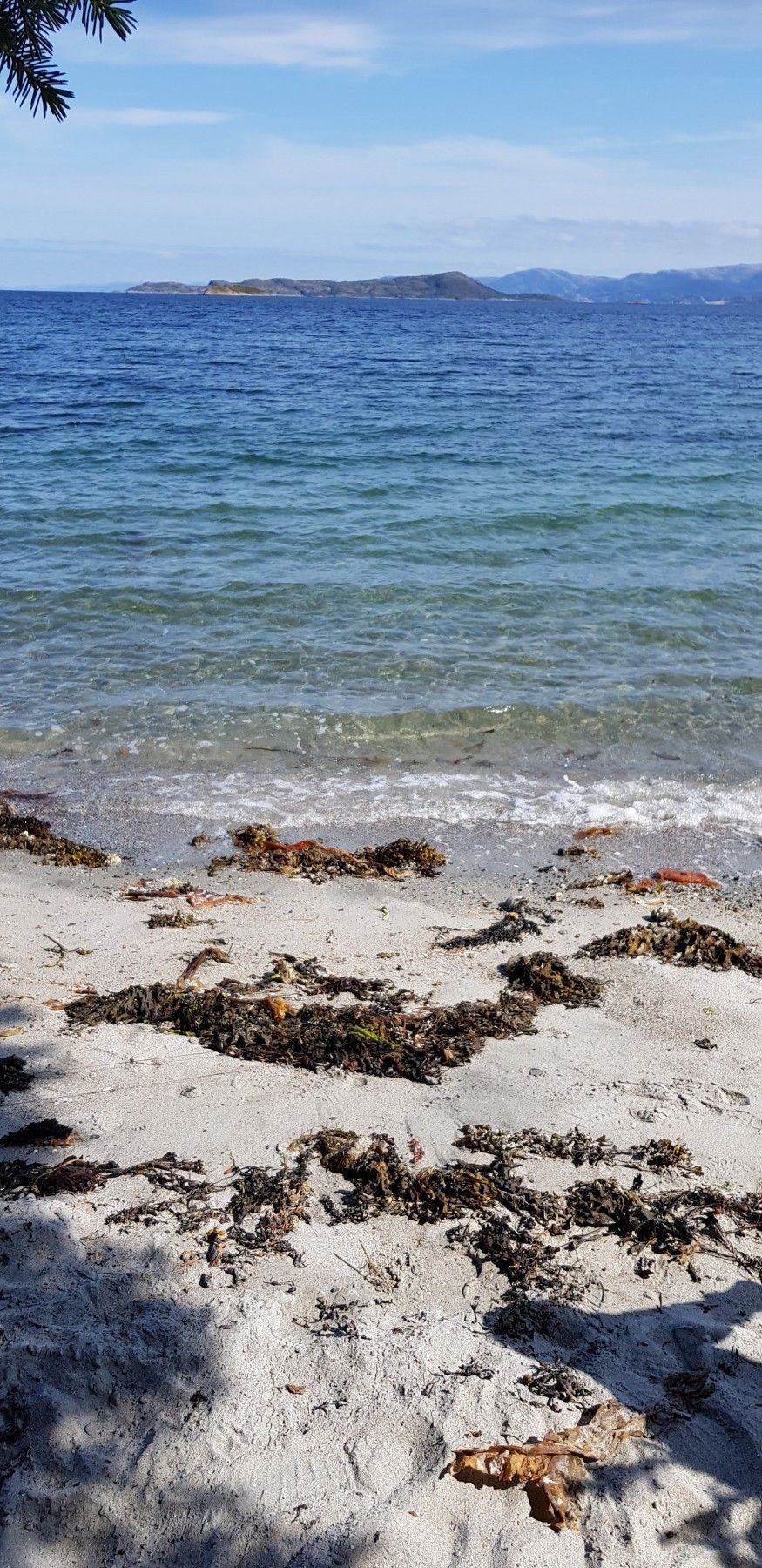 Fjæra i nærheten Galleribilde