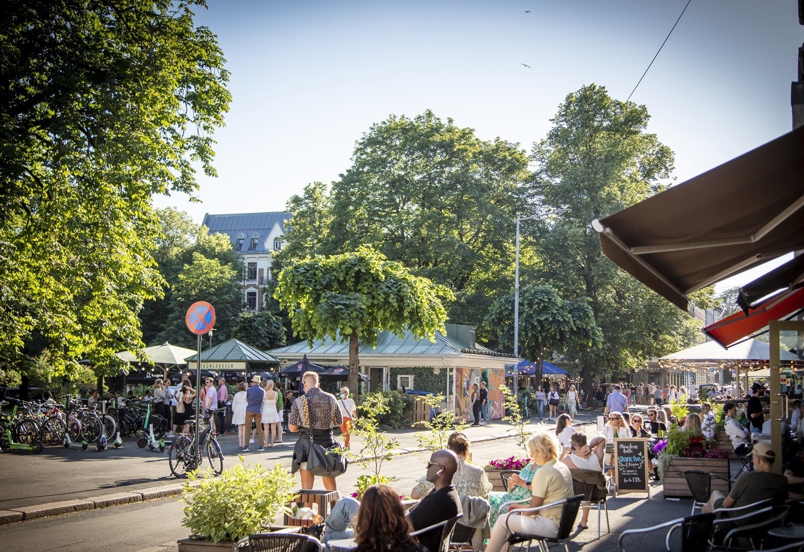 Nærområde på løkka, Grünerhaven Galleribilde