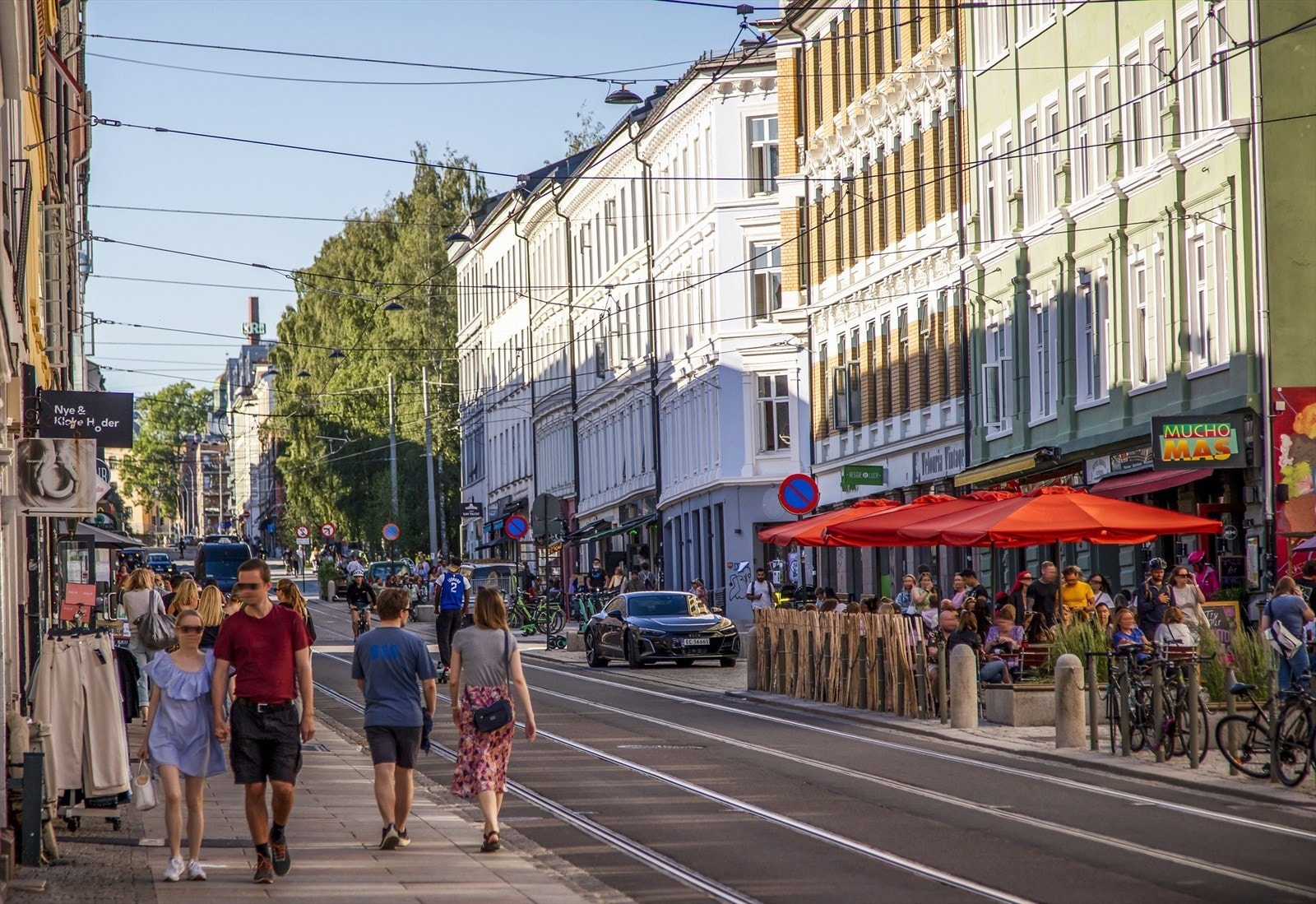 Næromårde på løkka, Thorvald Meyers gate Galleribilde