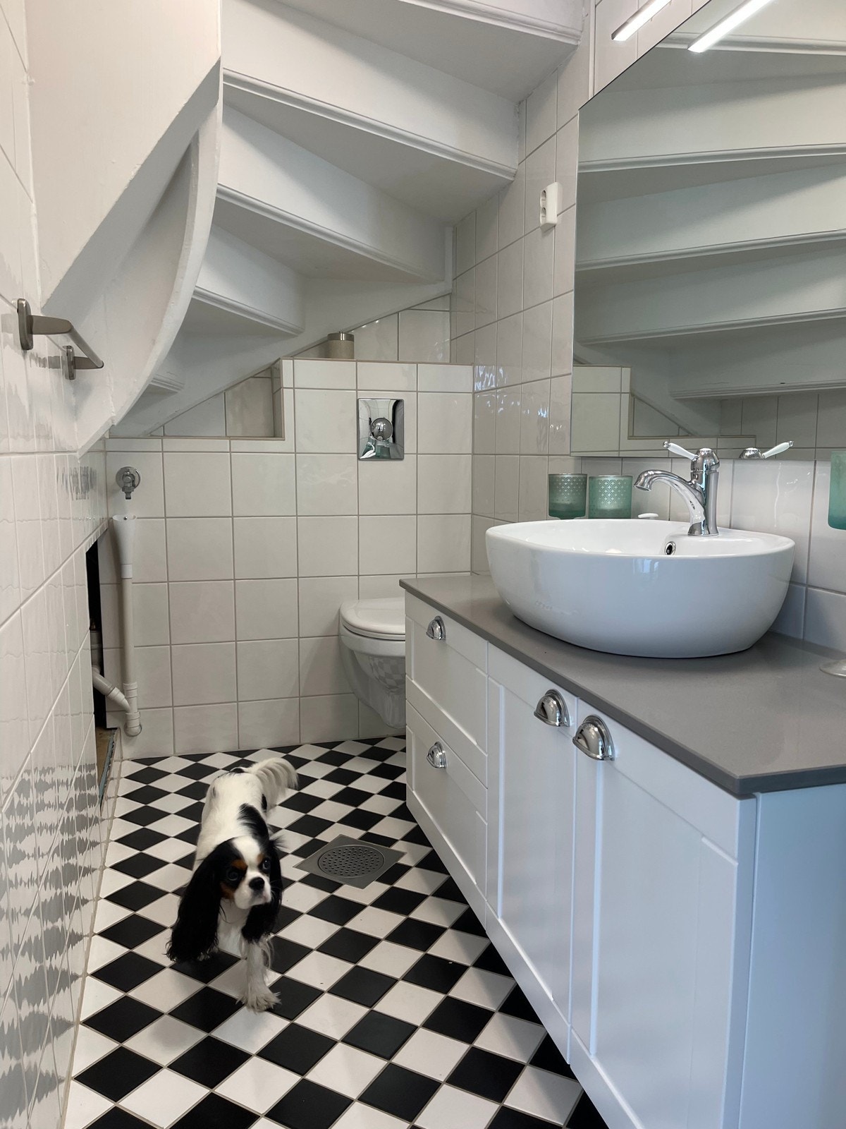 Lite toalett i gangen Galleribilde