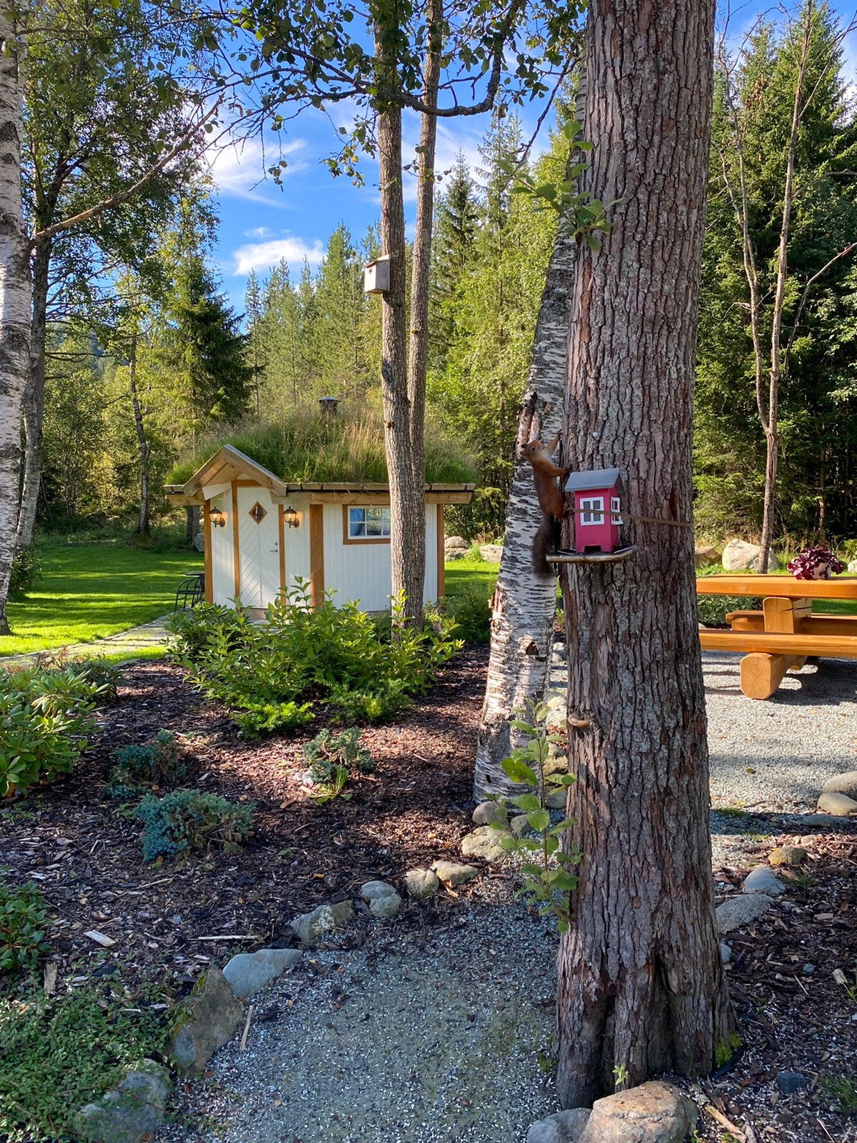 Daglig dyreaktivitet på uteområdet Galleribilde