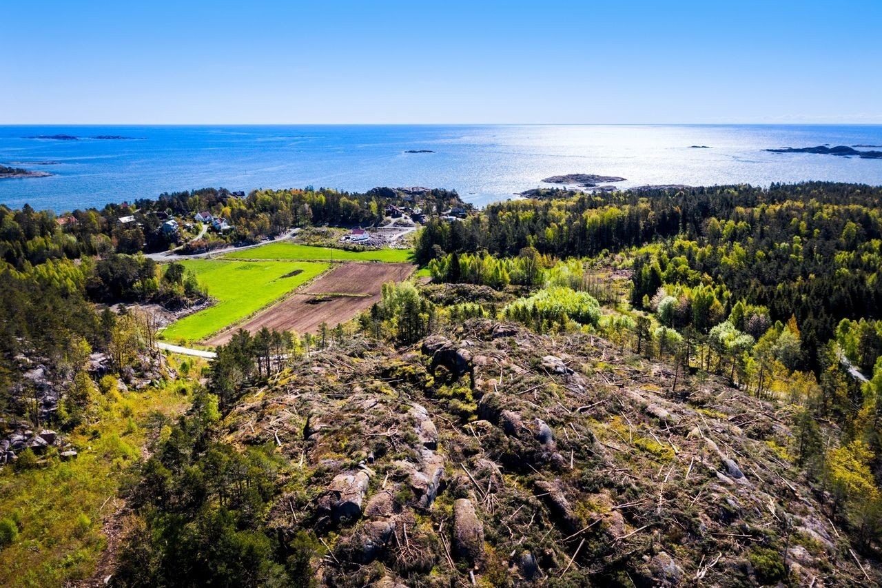 Området Galleribilde