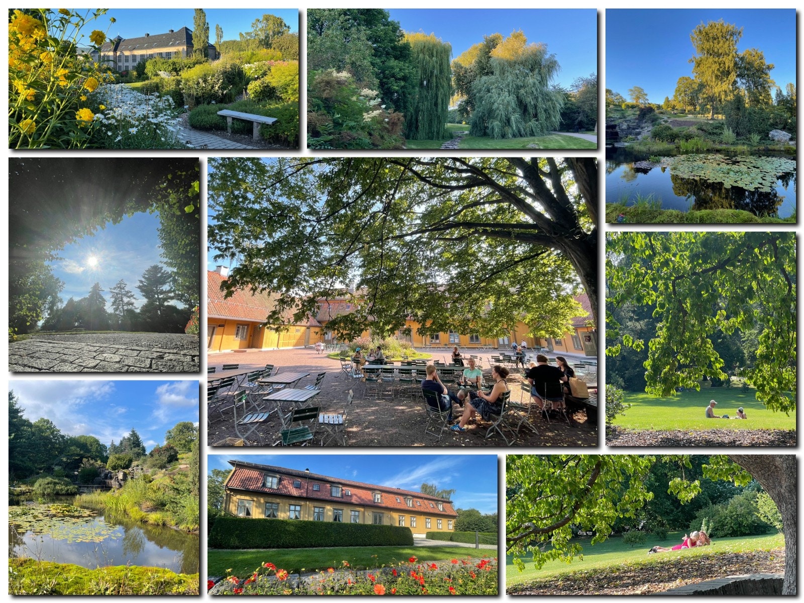 Porten til Botanisk hage ligger få skritt fra leiligheten; 60 sekunder til denne enorme og idylliske "bakhagen." Galleribilde
