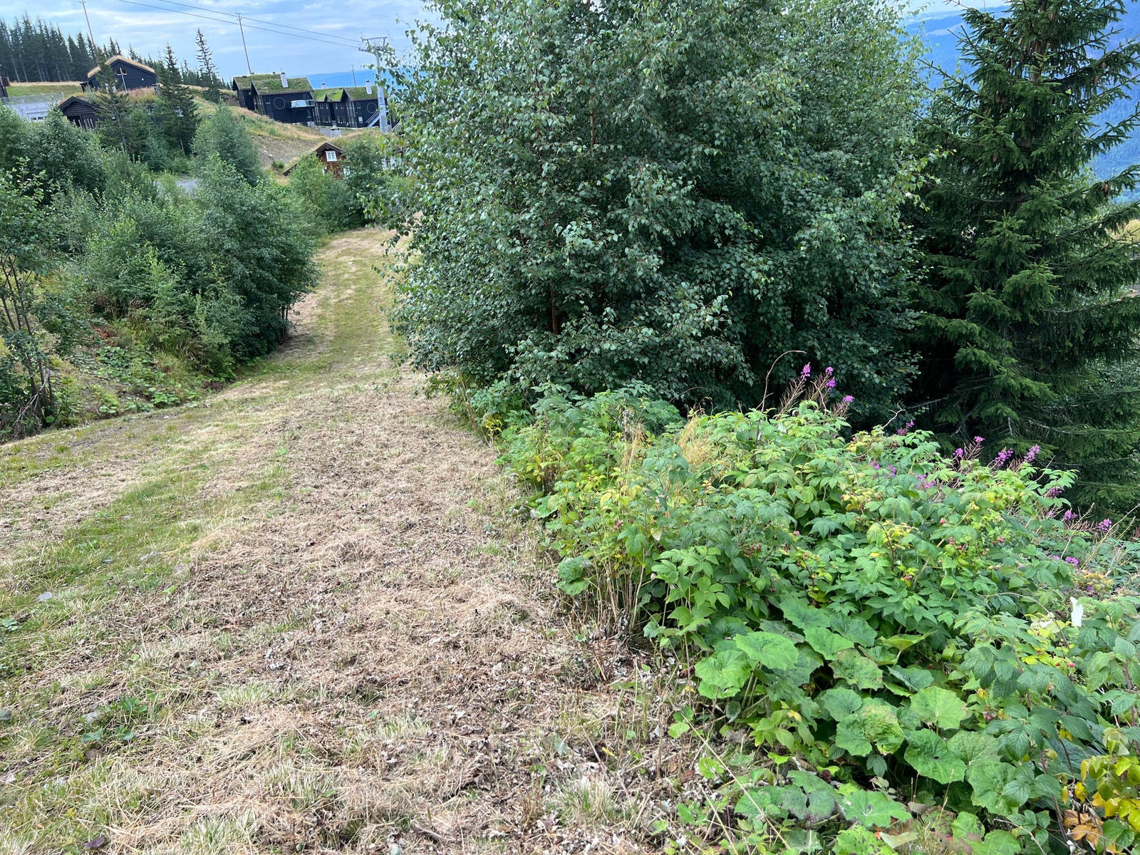Tilfartsløypa rett bak tomta Galleribilde