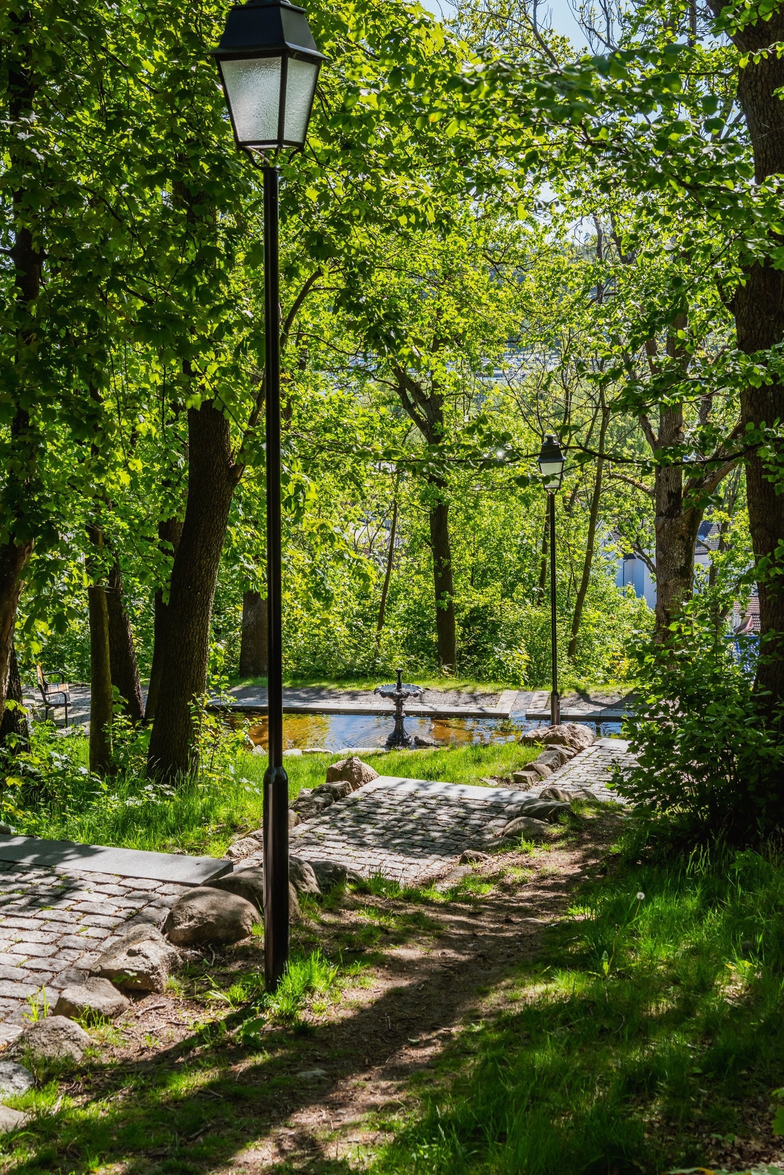 Fine turstier rundt Brydedammen. Galleribilde