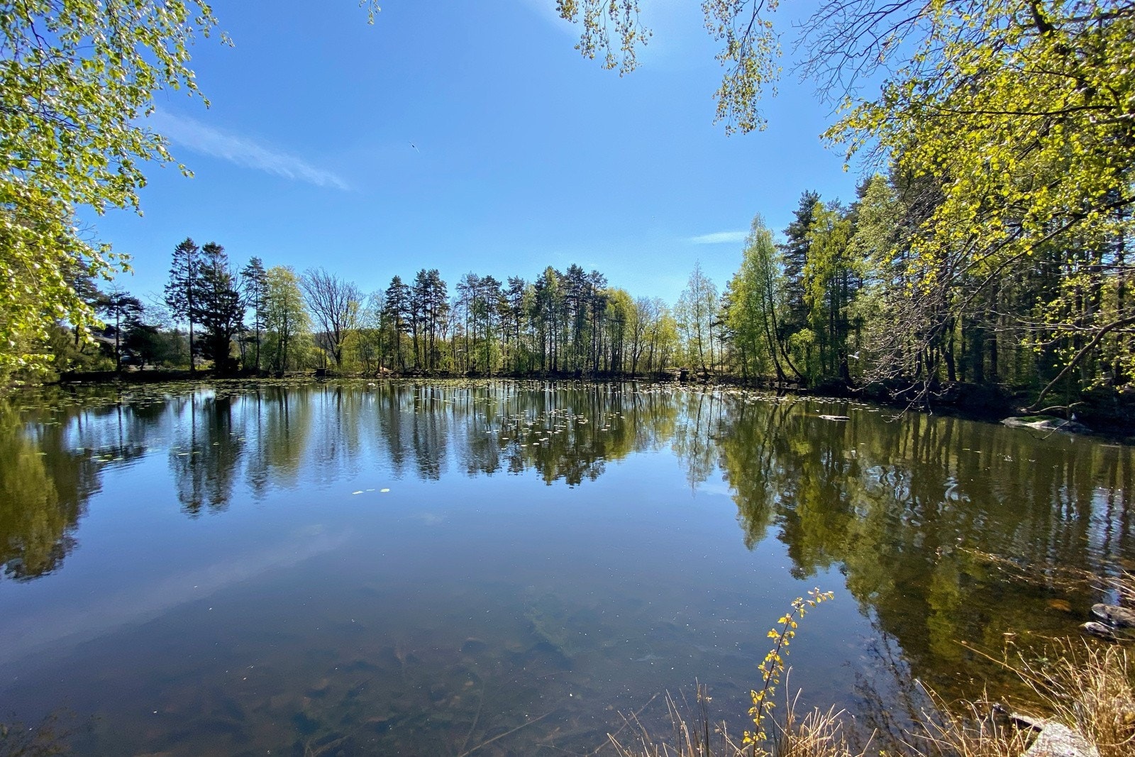 Fine turstier rundt Brydedammen. Galleribilde