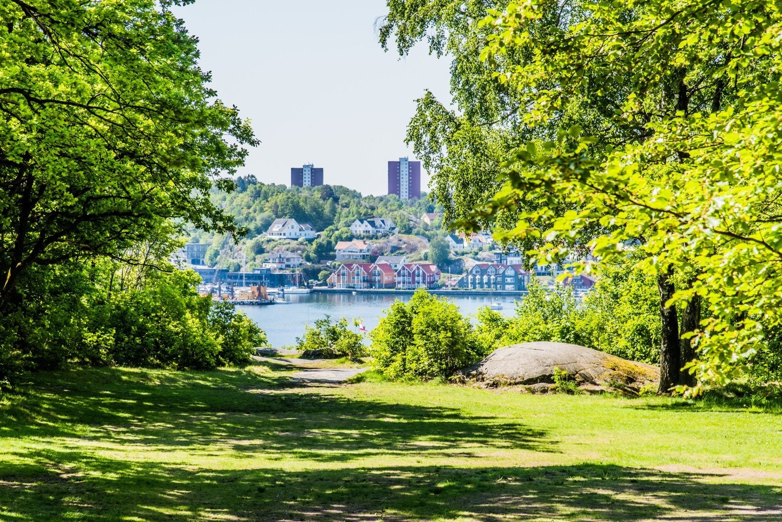 Fine turområder. Galleribilde