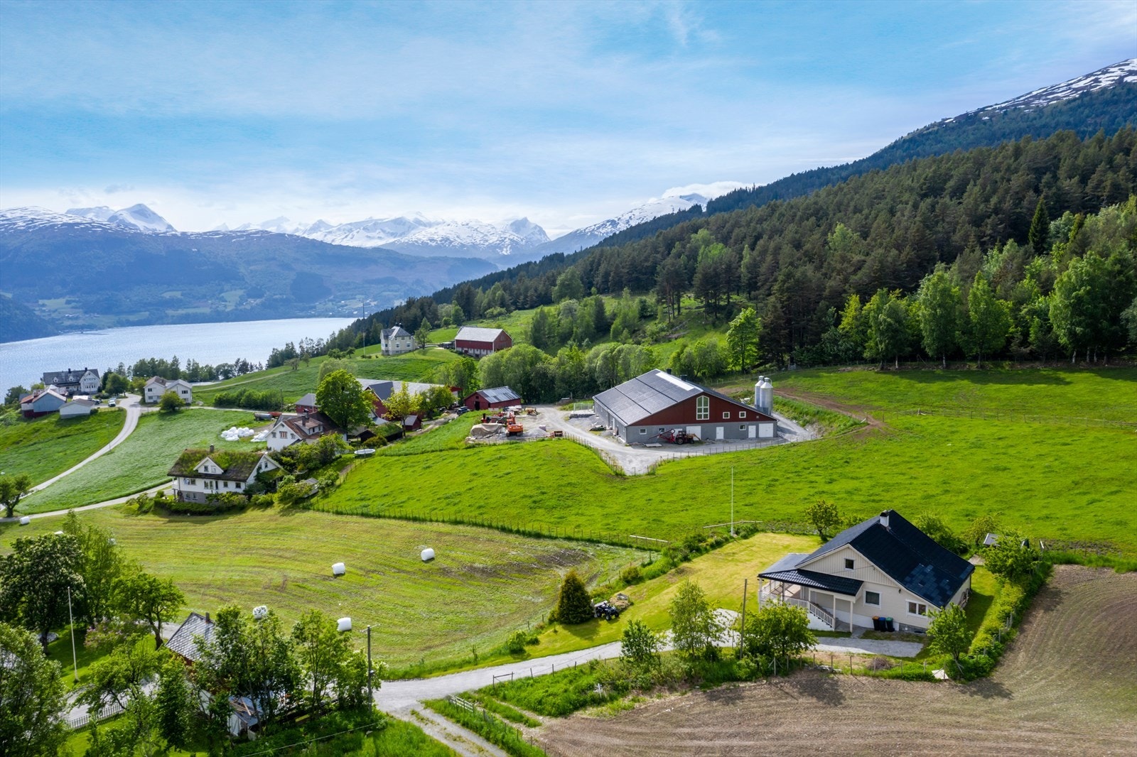 Liagarden38 | Dronefoto Galleribilde