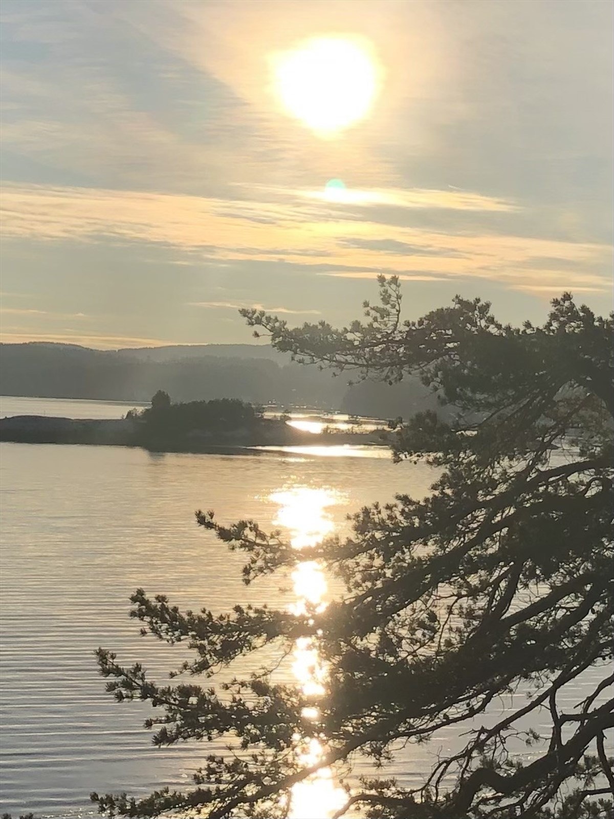 Utsikten fra tomtene over Hartevann. Galleribilde