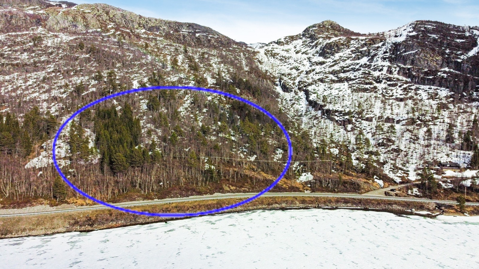 Hartoll Hyttegrend_3.jpg Galleribilde