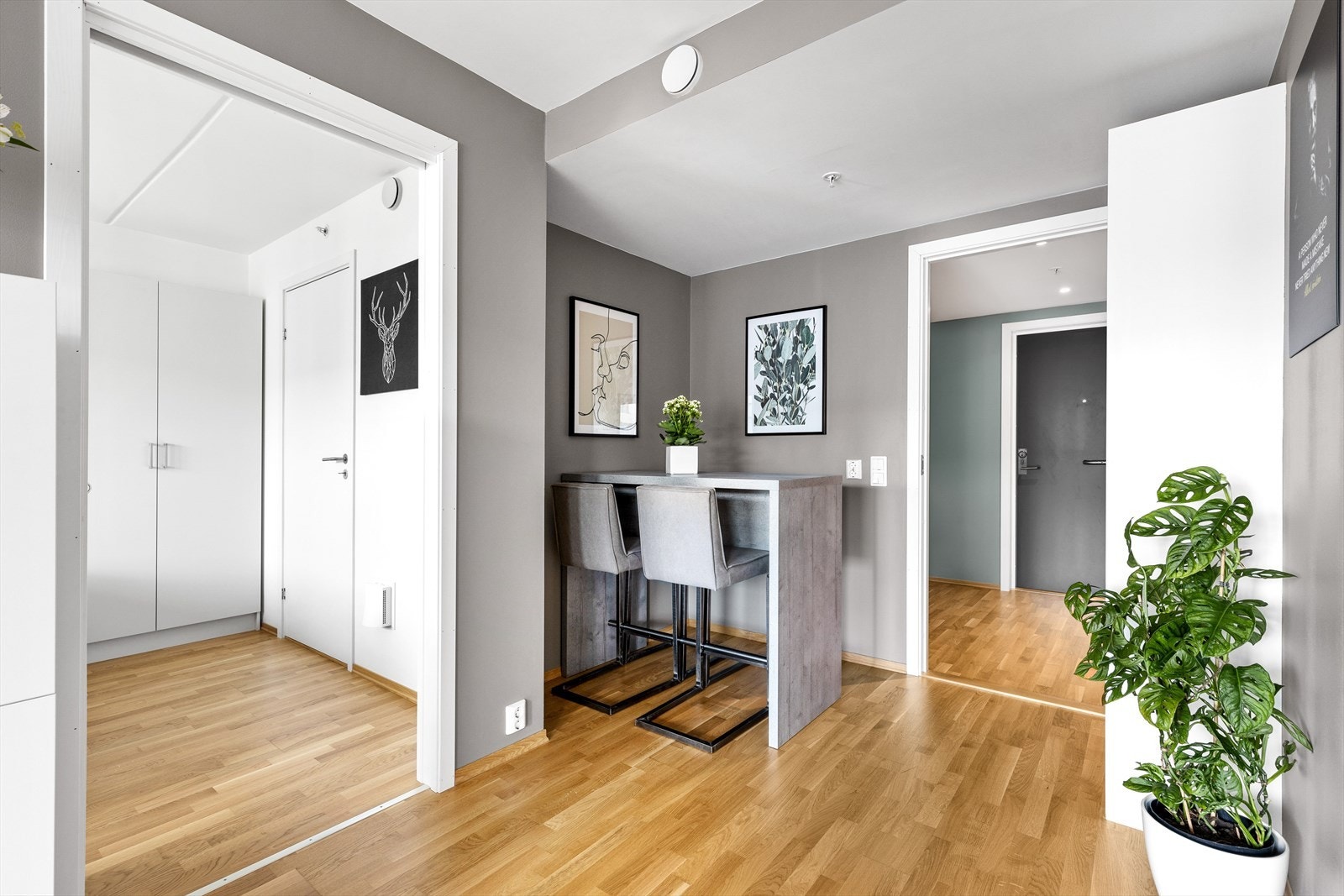 Veggene er malt i en moderne, tidsriktig farge Galleribilde