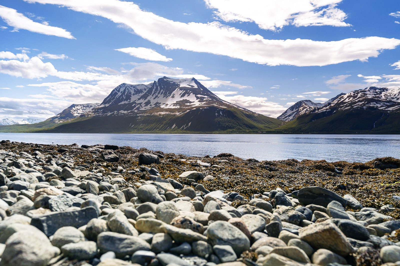 Nyt sommerdager i fjæra.