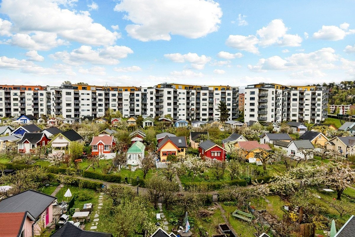 Soveromsvinduet og den fredfulle kolonihagen. Galleribilde