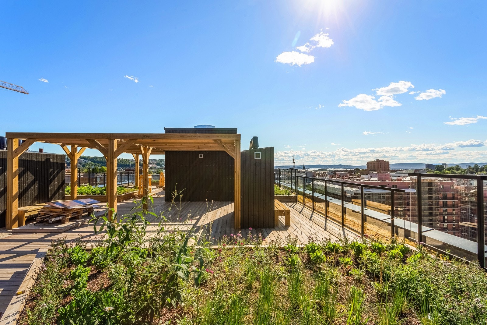 To felles takterrasser - Pent opparbeidet med beplantning og sittegrupper - Fantastisk utsikt Galleribilde