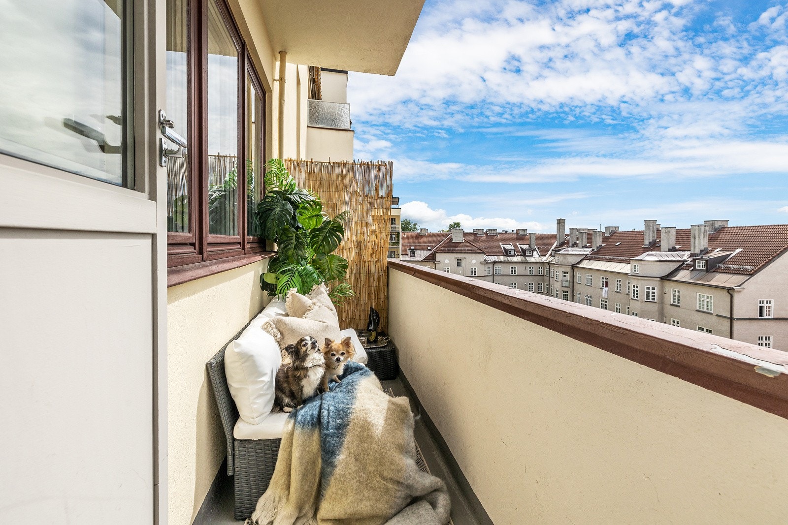 Dyrehold er tillatt. Galleribilde