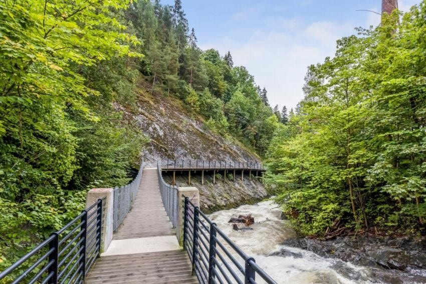 Alnaelva med tursti og urskog Galleribilde