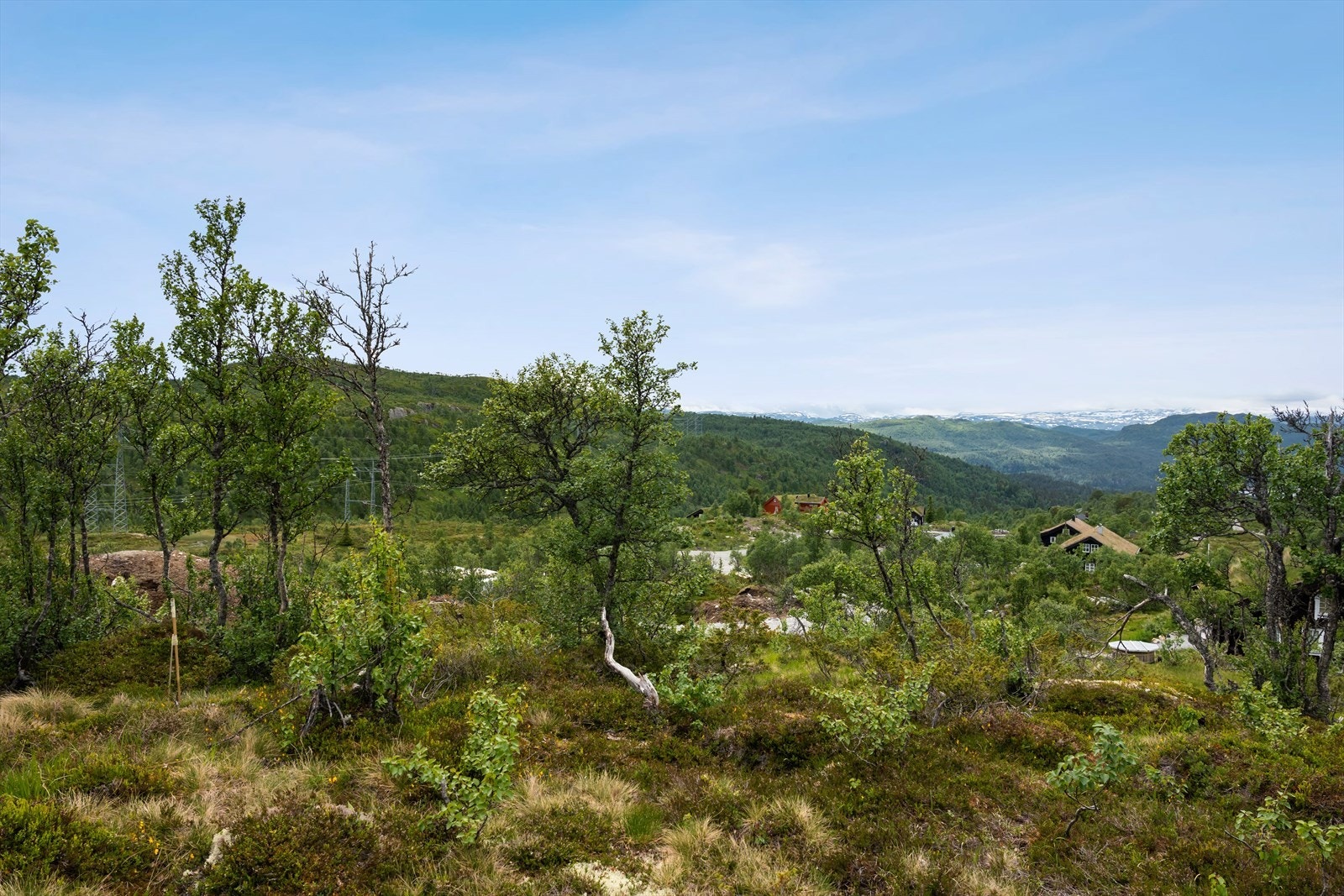 Det blir opparbeidet vei, stikk til vann/avløp og strøm til tomtegrenser. Galleribilde