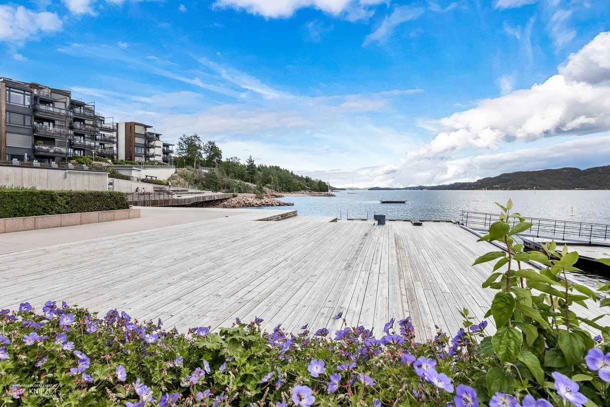 Sommer på Nordre Jarlsberg Brygge, perfekt for en lat formiddag...jpg Galleribilde