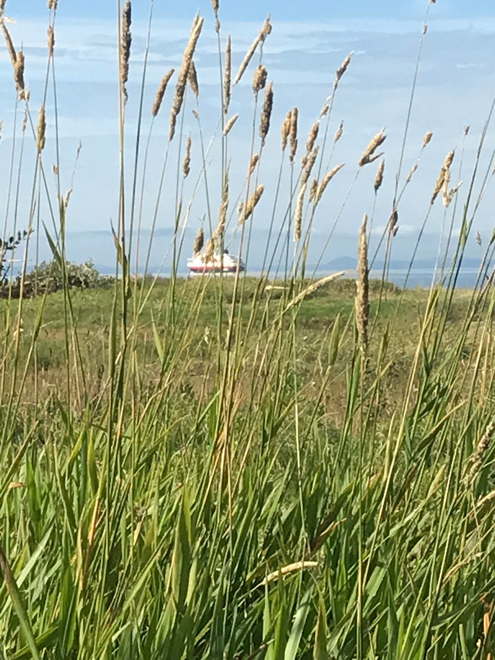 Bilde fra friområdet ved sjøen Galleribilde
