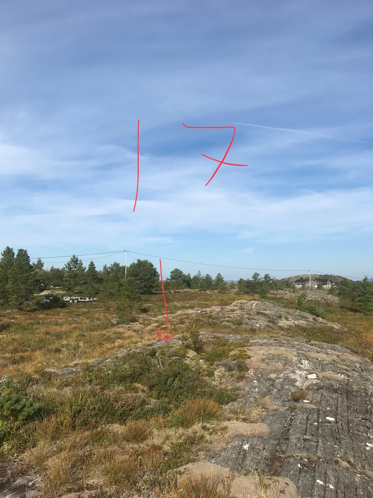 Bilde fra tomta med markert sentrum i tomta Galleribilde