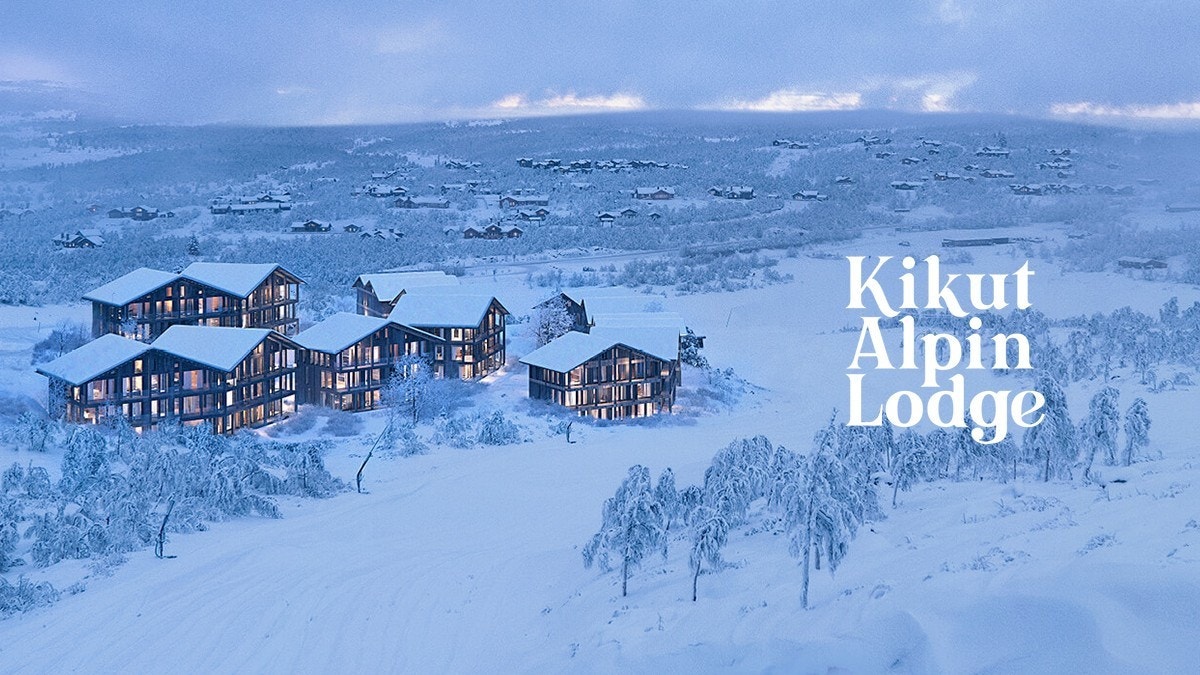 Illustrasjon av prosjektet. Galleribilde