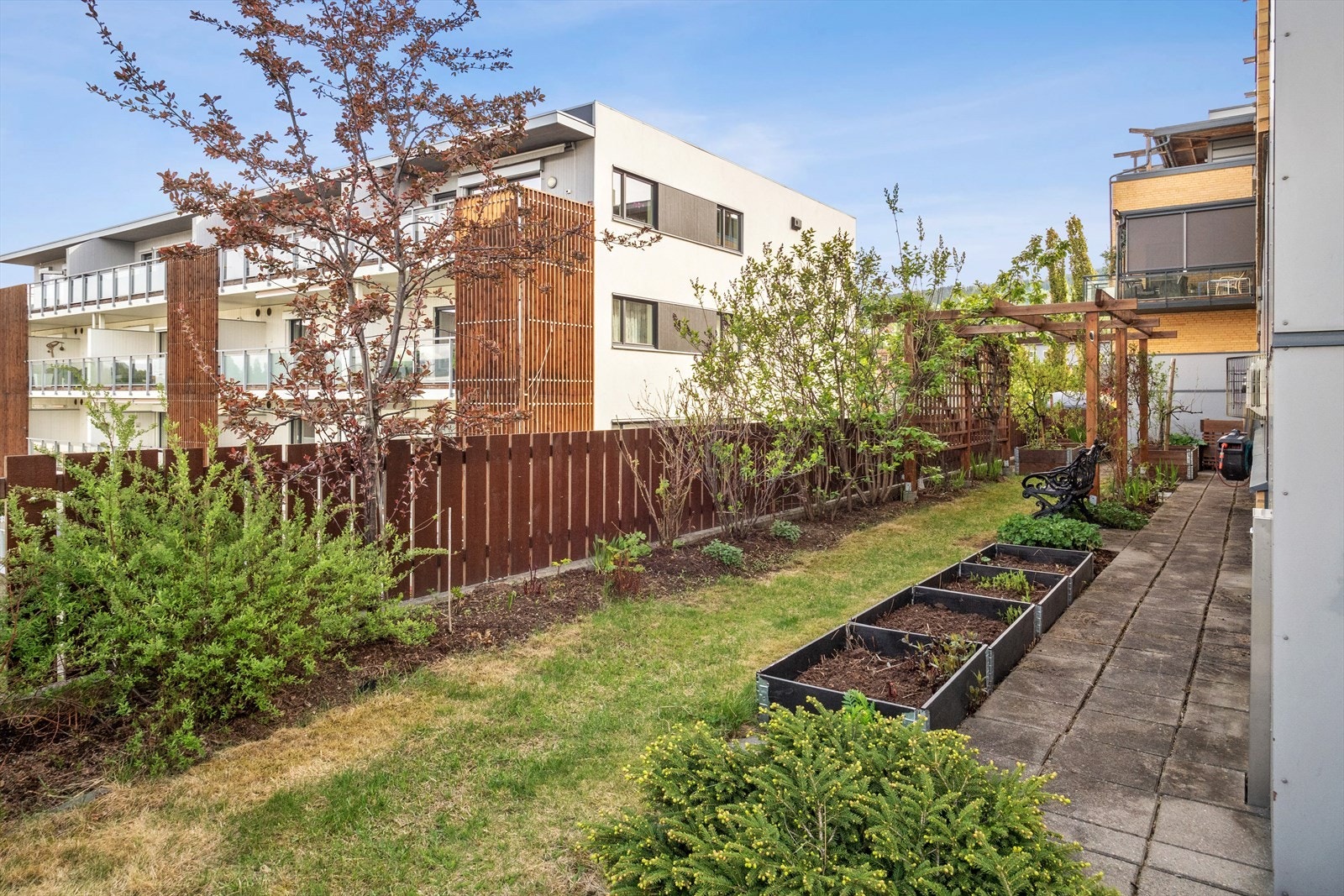 Pent opparbeidet uteområdet med betongheller, plenareal og beplantning Galleribilde